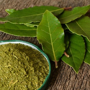 Op de afbeelding: Een close-up van een kleine kom gevuld met gedroogde laurierbladeren. De kom is groen met een witte rand. Verse laurierbladeren zijn rond de kom verspreid op een houten oppervlak.