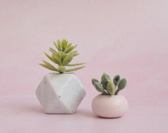 Miniature Plant - Dollhouse Succulent - Pink White Plant Pot - Miniature Flowers - Maileg