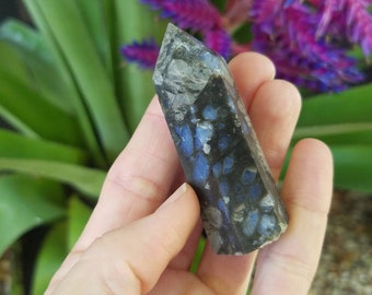 opal fossil etsy