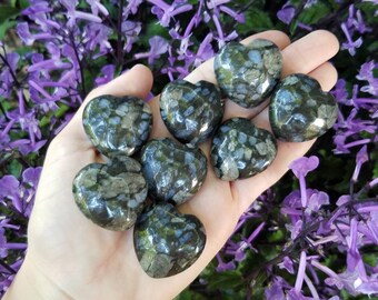 opal fossil etsy