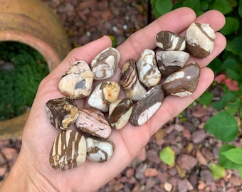 Small Brown Zebra Jasper, Tumbled Zebra Jasper, Nungi Jasper, Chocolate Jasper, Brown Banded Jasper