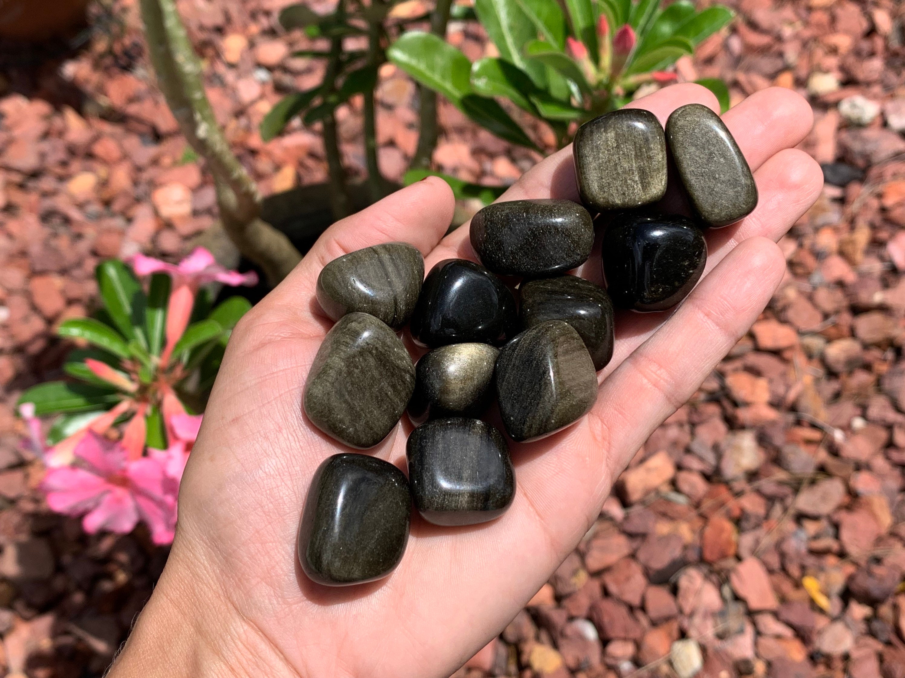 Gold Sheen Obsidian Tumbled Gold Obsidian Gold Sheen Etsy