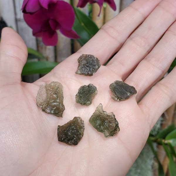 1 gram Moldavite, Green Moldavite, Green Tektite, Meteor Glass, from Czech Republic, Czechoslovakia