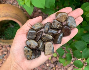 Small Bronzite, Tumbled Bronzite, Variety of Enstatite, Natural Stone, Gold Flash