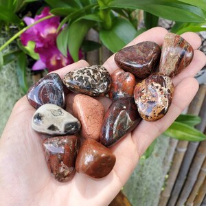 Red Silver Leaf Jasper Tumbled Red Jasper Blend Of Etsy Red Silver Leaf Jasper Tumbled Red Jasper Blend Of Etsy