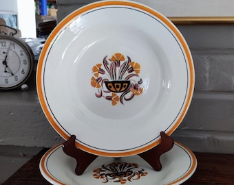 2 Antique Plates Creil et Montereau Rustic Floral Ceramic Soup Pasta Plate set
