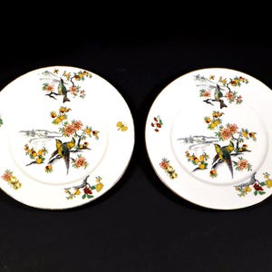 Antique French White Porcelain Plates with Paradise Bird Limoges S/2