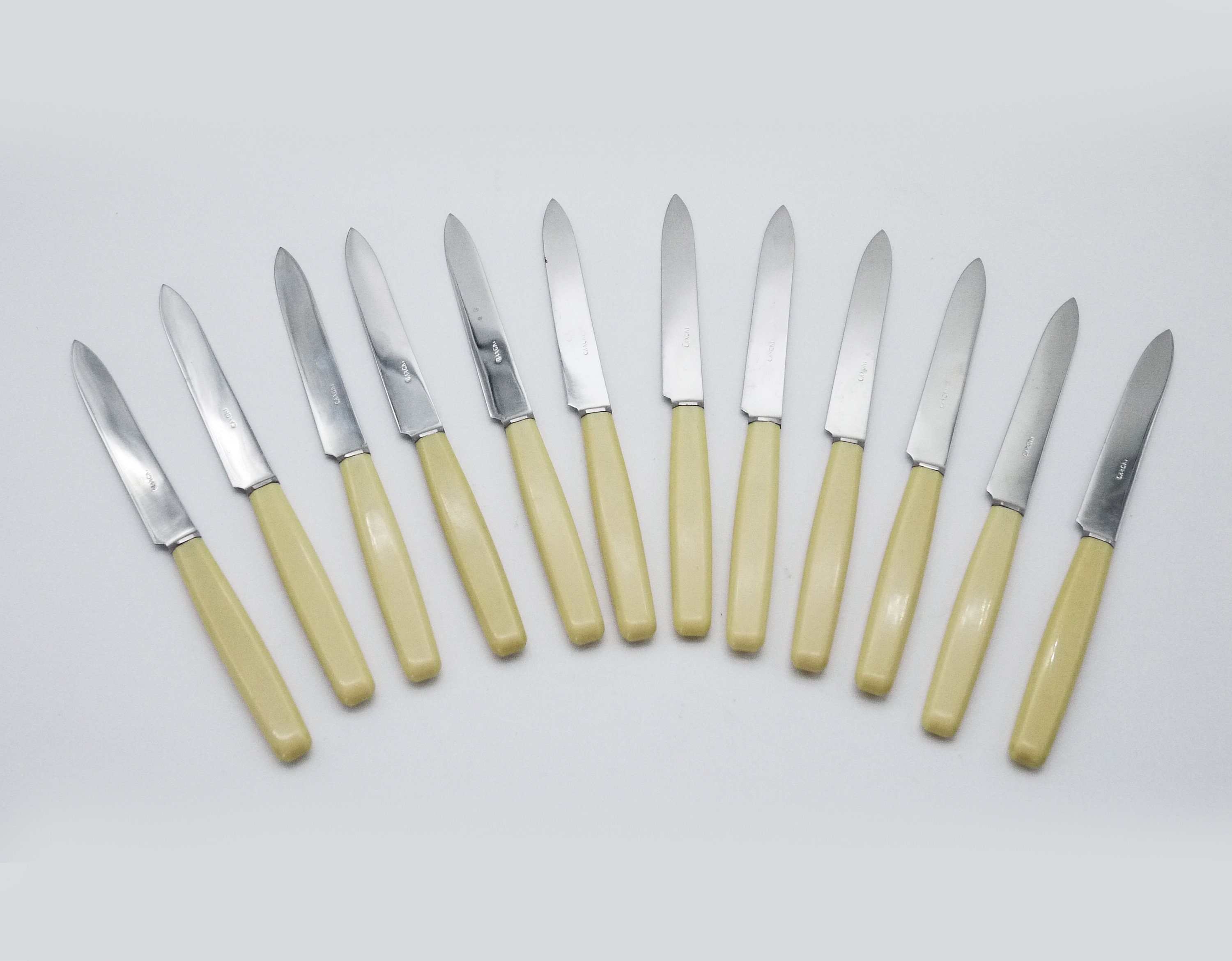 Vintage French Bakelite Pastry Forks and Knives in Box