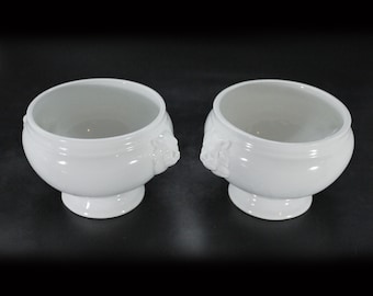 Vintage Porcelain Bowls with Lion Head - Set of 2 French Retro Tableware