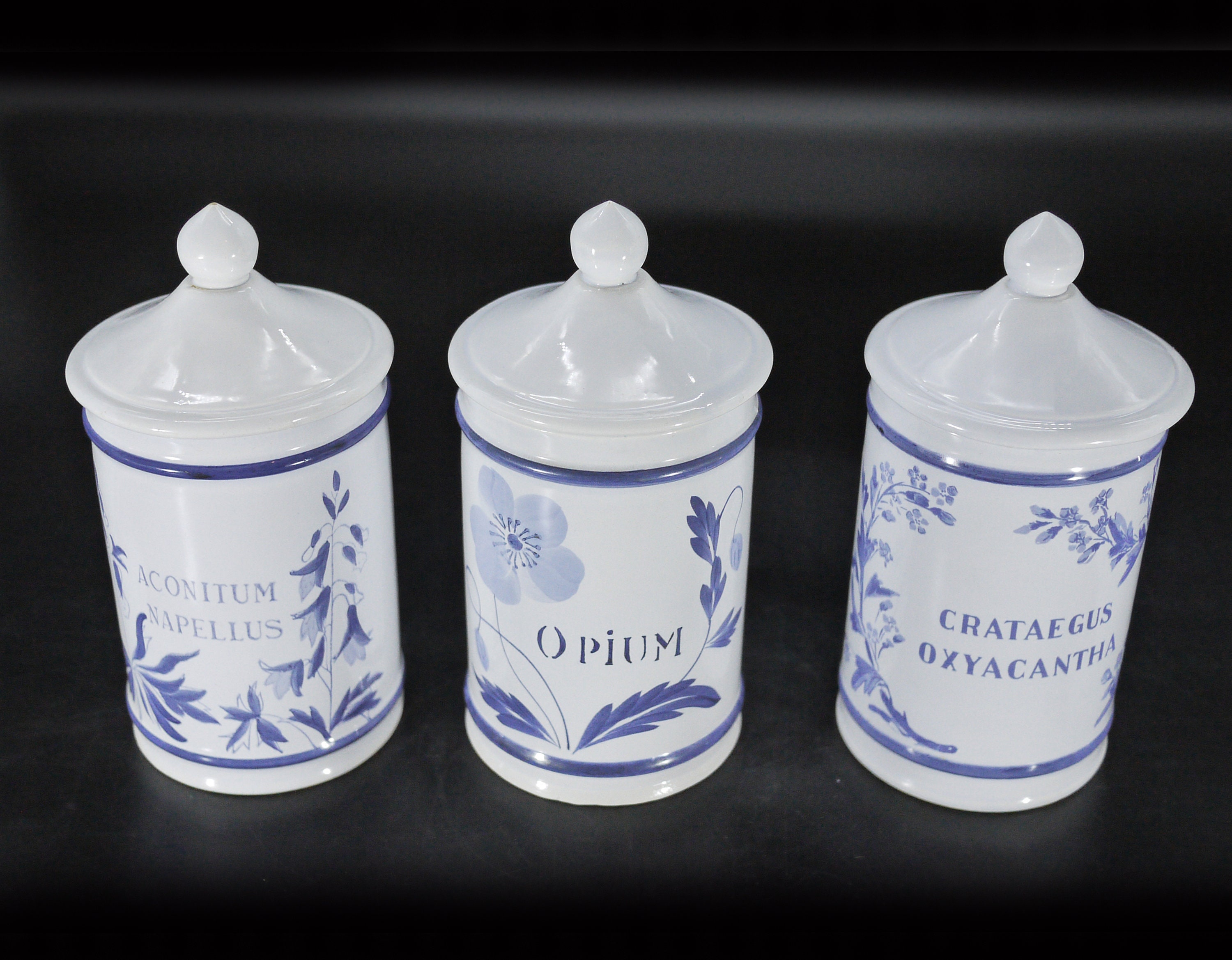 Vintage French Apothecary Jars, S/3 Longchamp Faience