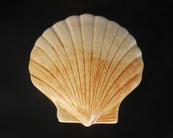 French Vintage Ceramic Clam Shell Butter Dish by Michel Caugant