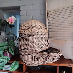 Könnte beinhalten: Ein zweiteiliger Korb aus geflochtenem Korbgeflecht mit gewölbtem Deckel steht auf einem Holzregal. Ein Vintage-Waschbrett lehnt an der Wand. Rosa Rosen in einer Vase und eine Topfpflanze mit grünen Blättern sind ebenfalls zu sehen.