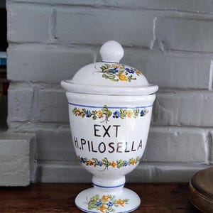 Peut inclure: Un pot d'apothicaire en céramique blanche avec couvercle, doté d'une base sur pied et de motifs floraux peints à la main en bleu, jaune et vert. Le texte EXT H.PILOSELLA est inscrit en lettres marron foncé sur le devant du récipient.