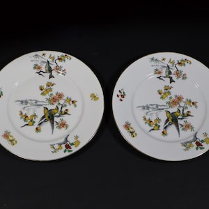 Antiker französischer Teller aus weißem Porzellan mit Paradiesvogel Limoges