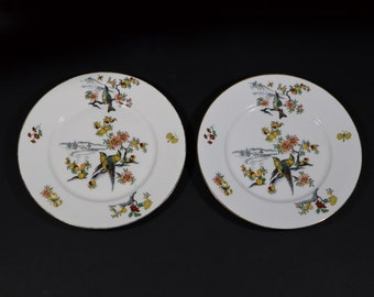 Antique French Plate White Porcelain with Paradise Bird Limoges