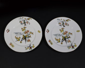 Antique French Plate White Porcelain with Paradise Bird Limoges S/2