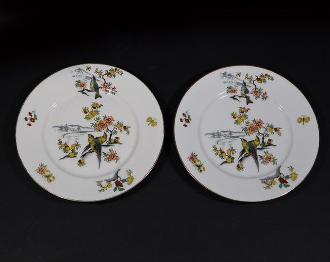 Featured listing image: Antique French Plate White Porcelain with Paradise Bird Limoges