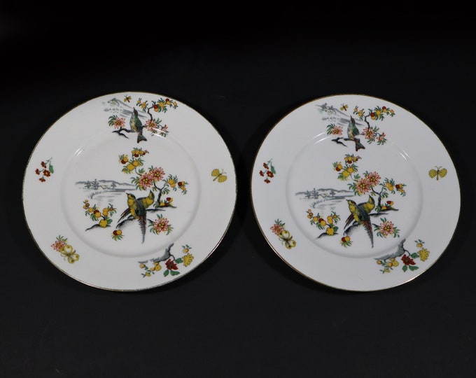 Featured listing image: Antique French Plate White Porcelain with Paradise Bird Limoges S/2