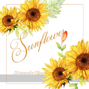 Sunflower Watercolor Clipart, Rustic Fall Flower, Vibrant Wedding Bouquet, Yellow Flower with Ribbon Bow, Autumn Wreath, Floral invitation