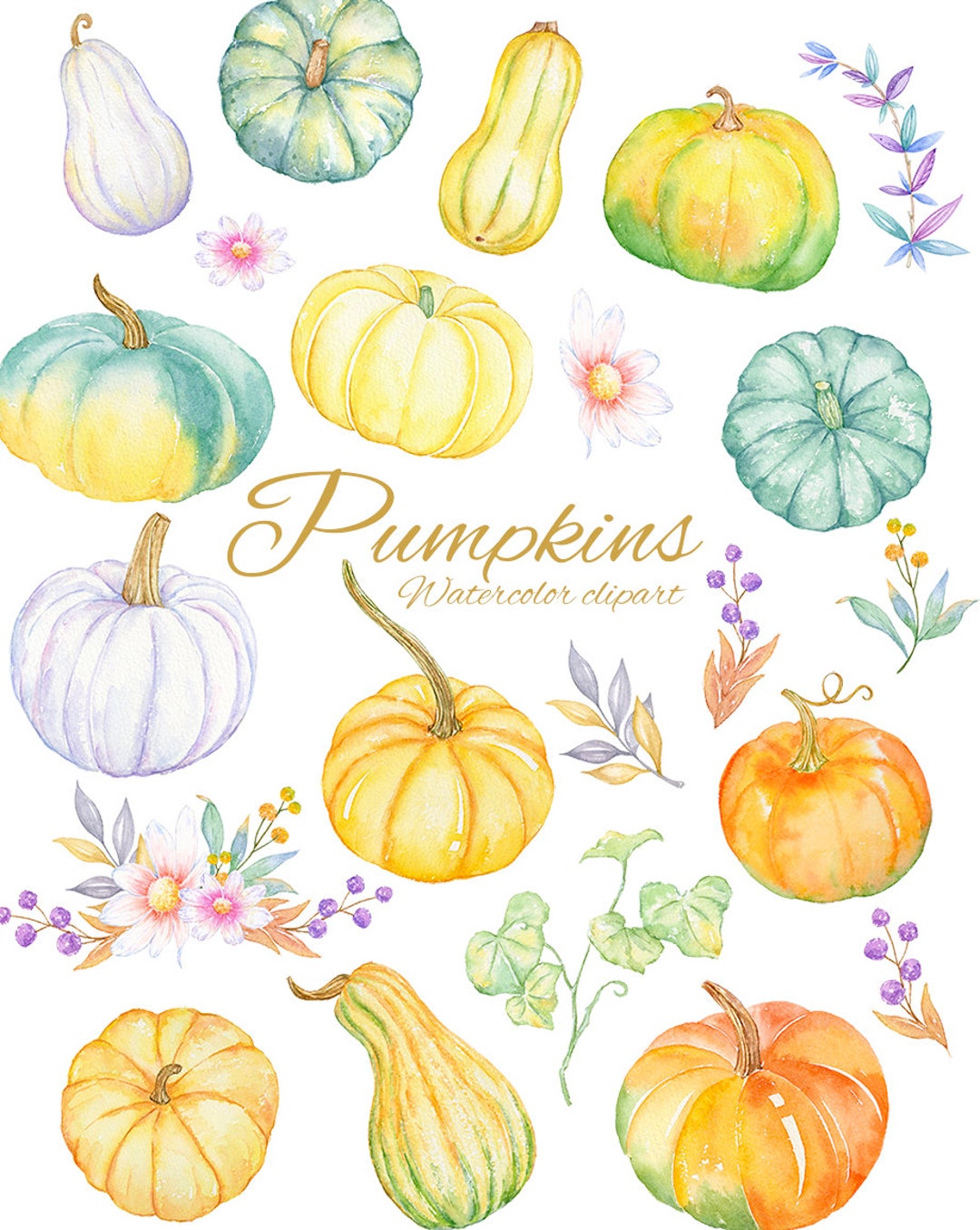 Pumpkin and Floral. Watercolor Fall Clipart, Harvest Illustration ...
