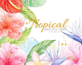 Watercolor tropical plant clipart, Exotic Flowers, Juicy Pineapple, Bird of paradise, Pink hibiscus, Botanical garden, Red anthurium, Aloha