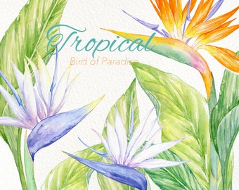 Bird of paradise clipart, Wedding elements, Watercolor tropical flower, Digital bouquet, Green leaves, Strelitzia arrangement, Botanical png