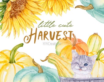 Bright Sunflower Harvest Clipart Set, Seasonal fall graphic, Watercolor Pumpkin, Autumn illustration, Cute Little Kitten, Tabby Cat, Rustic