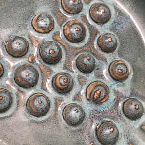 May include: A close-up of a ceramic dish with a teal glaze and a textured surface. The dish has a pattern of raised circles, each with a small brown dot in the center.