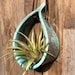 Owner of <a href='https://www.etsy.com/shop/GlazedPotteryShop?ref=l2-about-shopname&from_page=listing' class='wt-text-link'>GlazedPotteryShop</a>