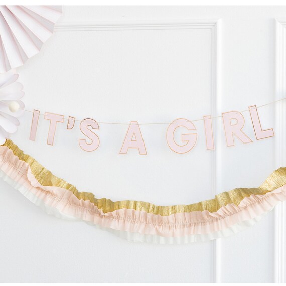 It's A Girl Banner, Girl Baby Shower Decorations, Gender Reveal Baby Shower Banner, Maternity Photo Shoot Prop, Photo Backdrop Il_570xn