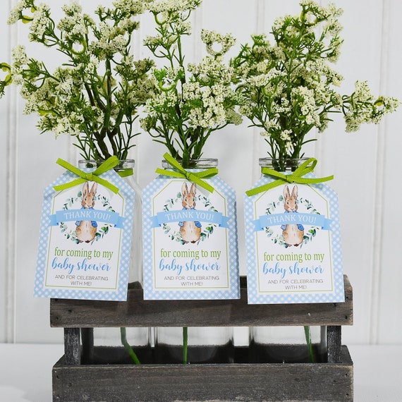 peter rabbit baby shower favours