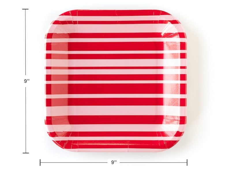 Red and Pink Valentine Plates Valentine/'s Day Party Plates 12 Valentine Paper Plates Valentines Party Supplies