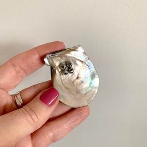 May include: A white iridescent seashell with a cluster of small silver beads in the centre.