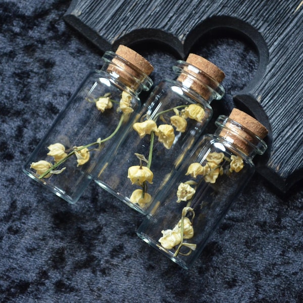 Lily of the Valley Curio Mini Vial - Oddities - Curiosities