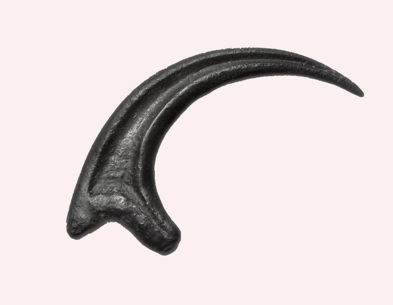 authentic raptor claw for sale