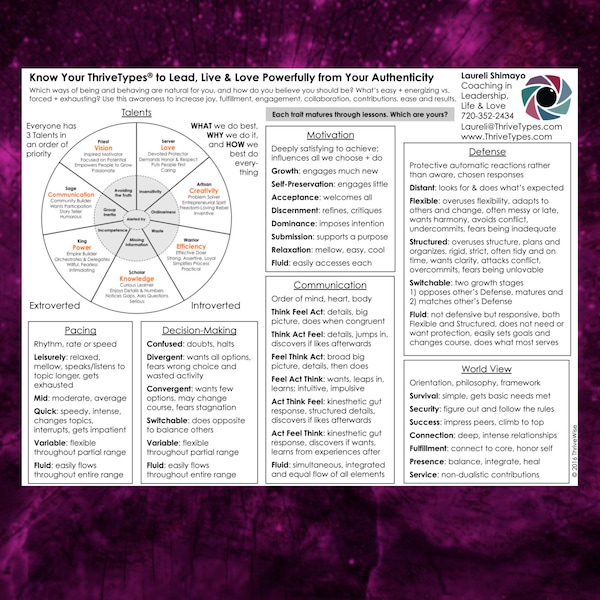 PDF Summary of All ThriveTypes Intuitive Eye Readings Archetypes for Thriving in Leadership, Life & Love