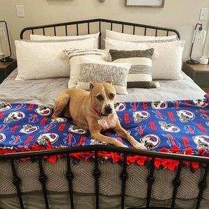 May include: A brown and white dog laying on a blue and red fleece blanket with the word "Bills" repeated on the blanket. The dog is laying on a bed with white pillows and a black metal frame.