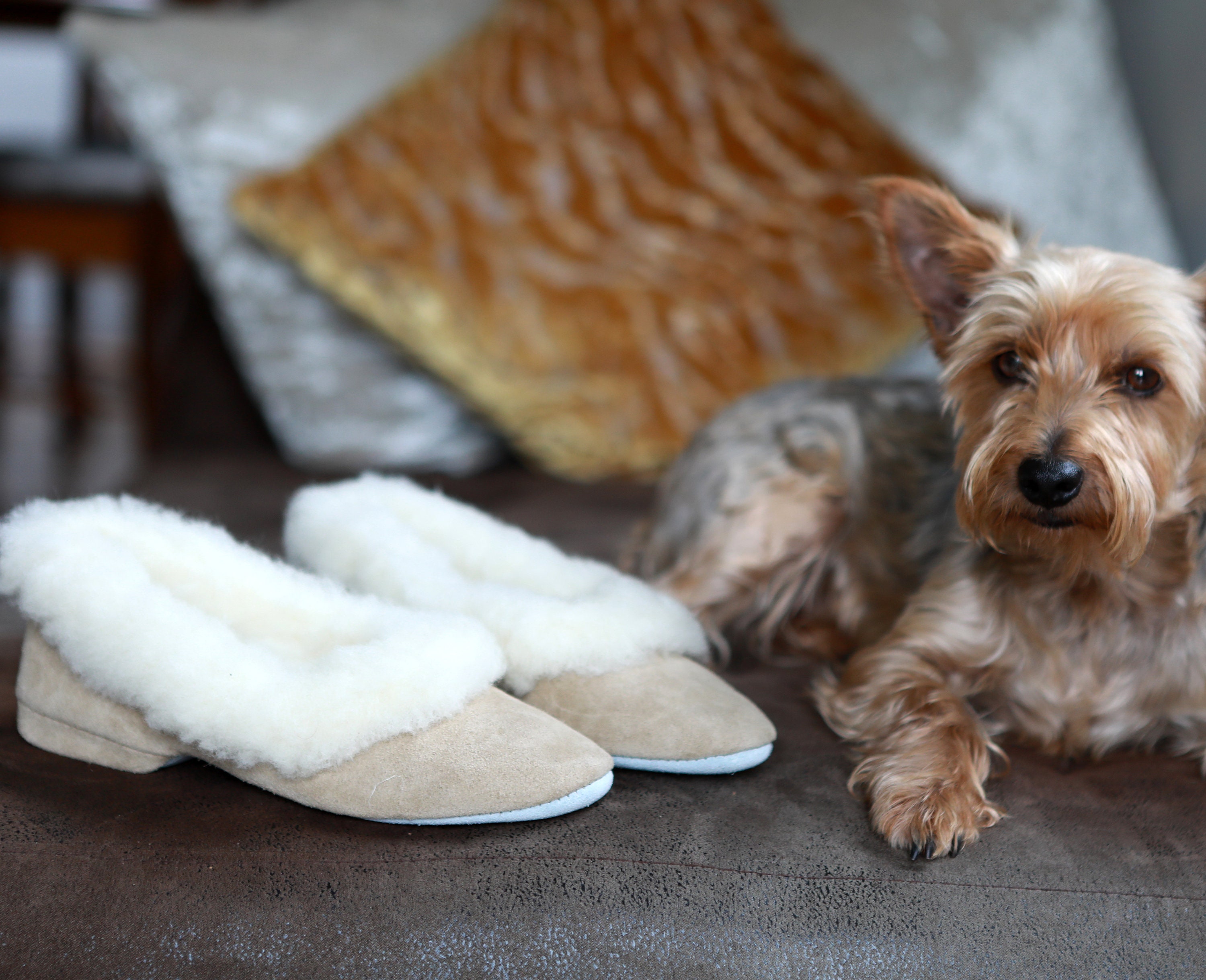 Morlands slippers online factory shop