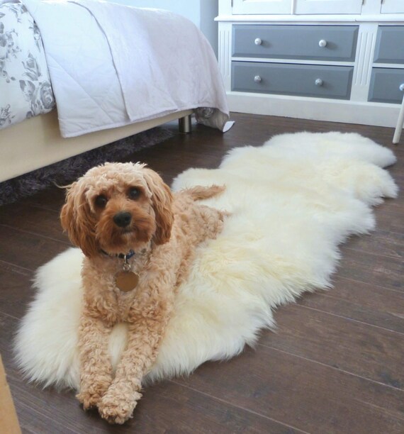 Sheepland Genuine Ivory Long Fur Double Sheepskin Rug - Etsy