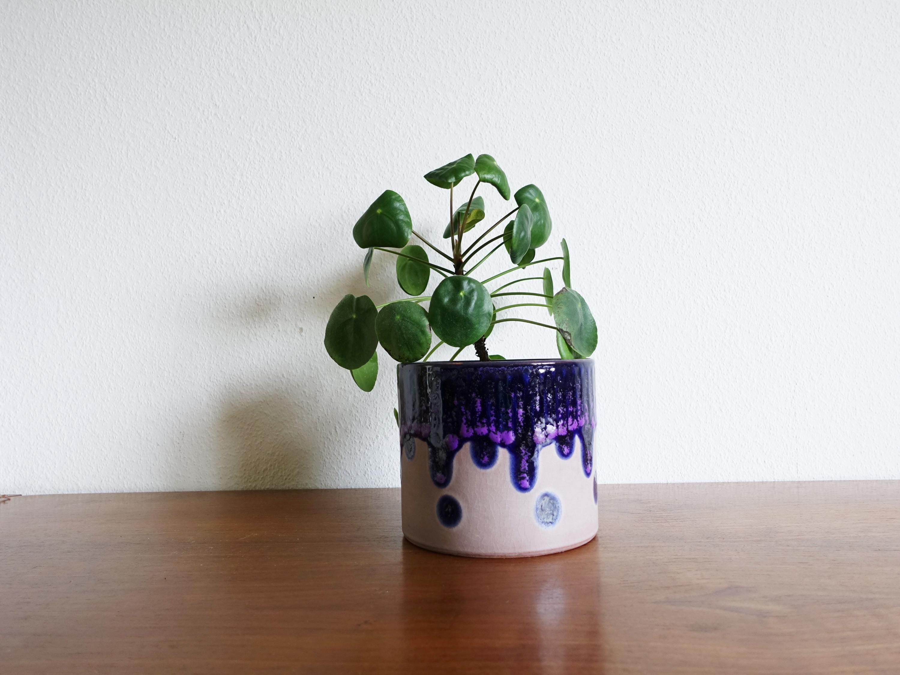 Fat lava planter - Etsy 日本