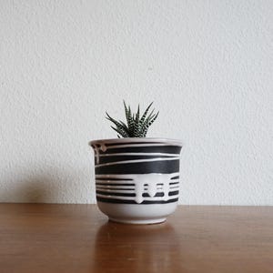 May include: A small ceramic plant pot with a succulent. The pot is white with black horizontal stripes and white dripped paint details. The succulent has green and white striped leaves. The pot sits on a wooden surface.