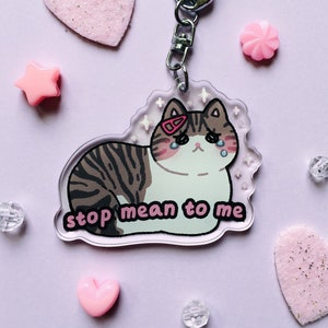 Stop Mean to Me Acrylic Keychain || Crying cat meme, kawaii cat keychain, meme keychain