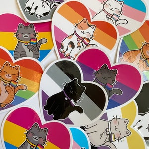 Spinnenstickers | Pride Cat-vinylstickers | LGBTQ, homoseksueel, lesbisch, trans, aseksueel, biseksueel, panseksueel, agender, niet-binair, demi