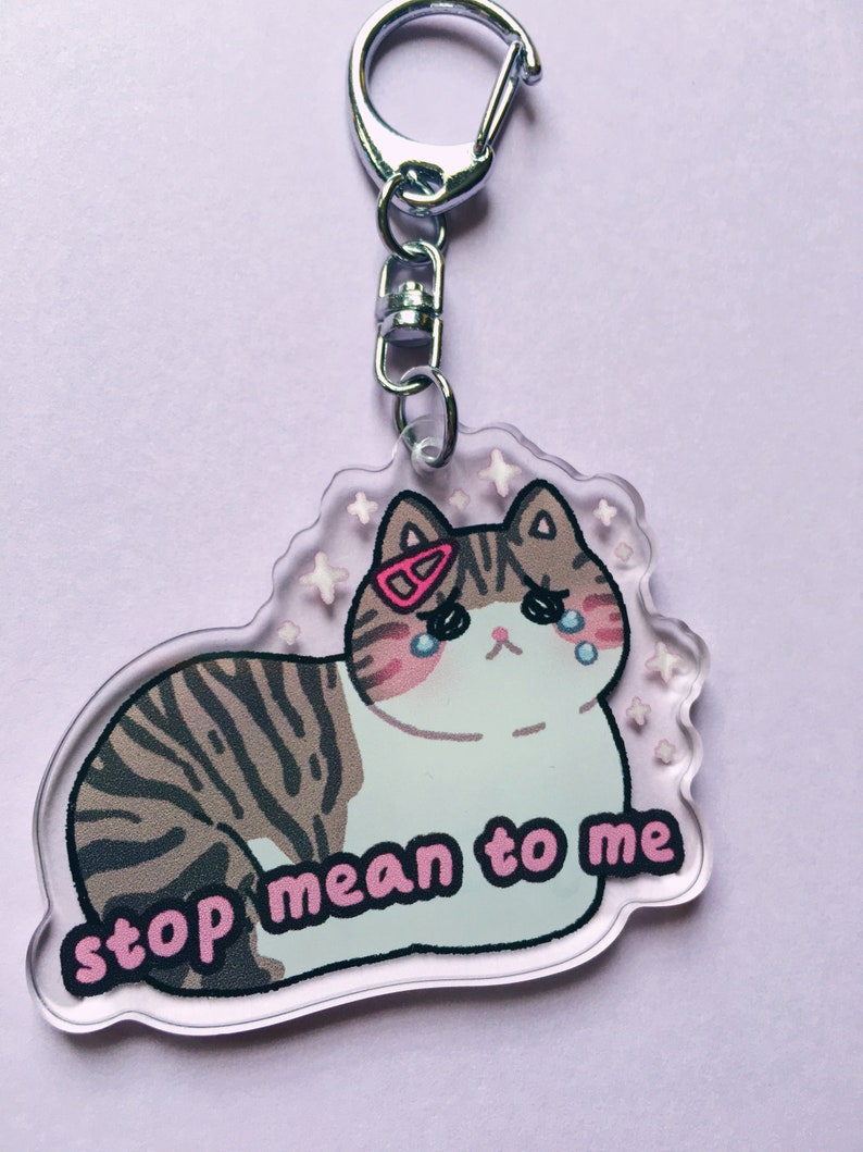 Stop Mean to Me Acrylic Keychain Crying cat meme kawaii Etsy