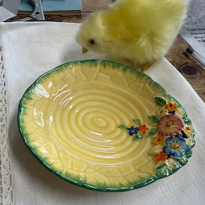 Crown Devon Vintage-skål, präglad blommönster, oval form. Perfekt tvålkopp