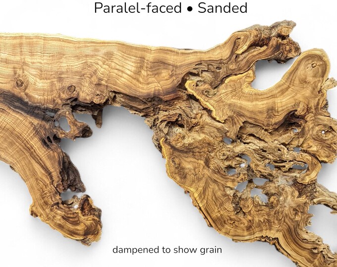 3. Live Edge Japanese Pagoda Tree Root Slice, Planed, Parallel-faced ...