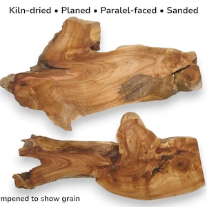 Zwei Erlen-Wurzelholzscheiben Natürlich Rohrand Maserholz platten Rohling #002