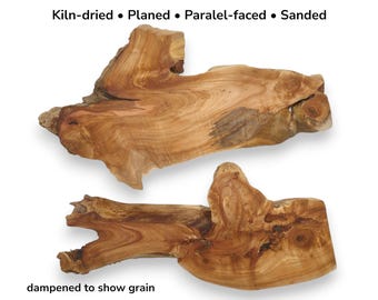 Two Alder Tree Root Wood Slices Natural Raw Edge Burl Slabs Blank Material Set #002