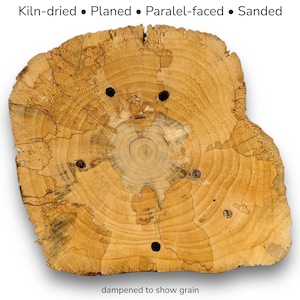 Op de afbeelding: Een lichtbruine houten schijf met zichtbare jaarringen, donkere patronen en vier kleine ronde gaten. De tekst bovenaan luidt Kiln-dried • Planed • Paralel-faced • Sanded, en de tekst onderaan luidt dampened to show grain.