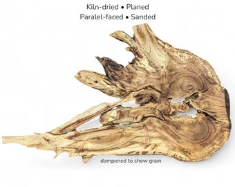 以下が含まれることがあります： 木目がはっきりと見える天然木の板で、Kiln-dried、Planed、Paralel-faced、Sanded、dampened to show grainという文字が記されています。この木材は不規則で有機的な形状をしており、濃い茶色の渦巻き模様と明るい茶色の木の色合いが特徴です。